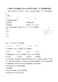 广东省广州市花都区2024-2025学年七年级（下）期末数学试卷