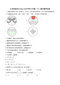 江苏省扬州市2024-2025学年八年级（下）期末数学试卷