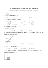 贵州省黔南州2025届九年级下学期中考二模数学试卷(含解析)