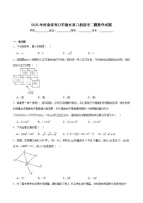河南省周口市商水县几校联考2025届九年级下学期中考二模数学试卷(含解析)