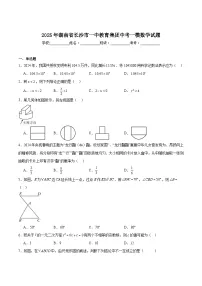 湖南省长沙市第一中学2025届九年级下学期中考一模数学试卷(含解析)