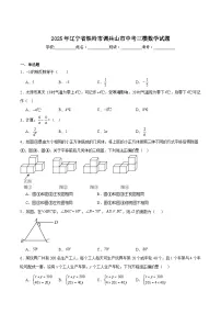 辽宁省铁岭市调兵山市2025届九年级下学期中考三模数学试卷(含解析)