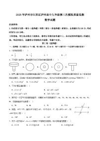 四川省泸州高级中学校2025届九年级下学期中考三模数学试卷(含答案)
