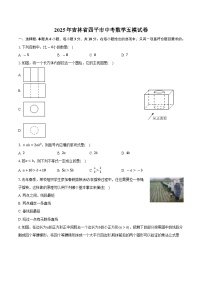 2025年吉林省四平市中考数学五模试卷