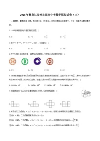 2025年黑龙江省哈尔滨市中考数学模拟试卷（三）（含详解）