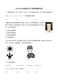 2025年山东省滨州市中考数学模拟试卷（含答案）