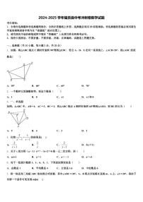 2024-2025学年福贡县中考冲刺卷数学试题含解析