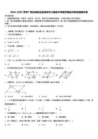 2024-2025学年广西壮族自治区桂林市七星区中考数学最后冲刺浓缩精华卷含解析