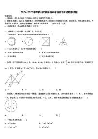 2024-2025学年杭州市桐庐县中考适应性考试数学试题含解析