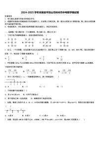 2024-2025学年河南省平顶山市林州市中考数学模试卷含解析