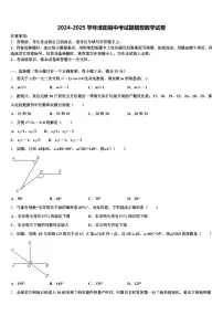 2024-2025学年淮阳县中考试题猜想数学试卷含解析
