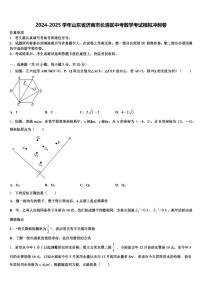 2024-2025学年山东省济南市长清区中考数学考试模拟冲刺卷含解析
