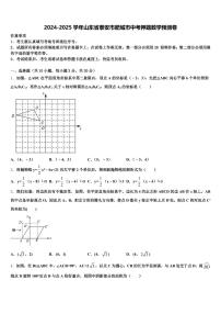 2024-2025学年山东省泰安市肥城市中考押题数学预测卷含解析