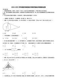 2024-2025学年邵阳市新邵县中考数学最后冲刺模拟试卷含解析
