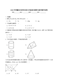 安徽省合肥市名校2025届九年级联合教研大联考数学试卷(含解析)