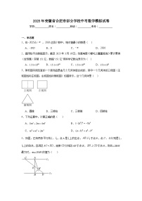 2025年安徽省合肥市部分学校中考数学模拟试卷（无答案）
