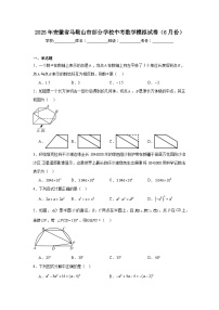 2025年安徽省马鞍山市部分学校中考数学模拟试卷（6月份）（无答案）