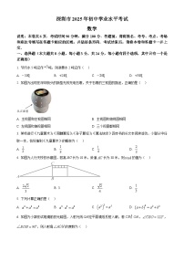2025年广东省深圳市中考数学试题（无答案）