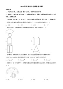 2025年河南省中考数学试题（无答案）