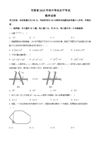 2025年甘肃省中考数学试题（无答案）