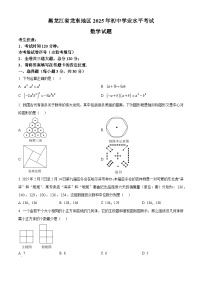 2025年黑龙江省龙东地区中考数学试题（无答案）