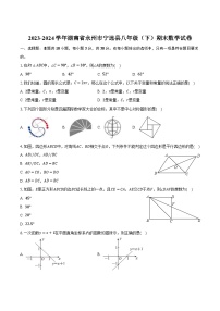 湖南省永州市宁远县2023-2024学年八年级下学期期末考试数学试卷(含答案)