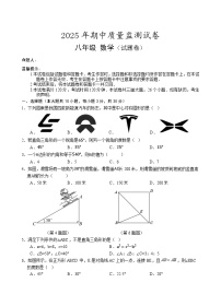 湖南省永州市新田县2024-2025学年八年级下学期期中考试数学试卷(含答案）