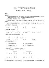 湖南省永州市新田县2024-2025学年七年级下学期期中考试数学试卷(含答案)