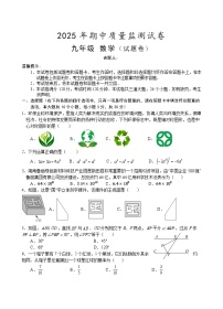 湖南省永州市新田县2025届九年级下学期期中考试数学试卷(含答案)