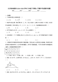 江苏省南通市2024-2025学年八年级下学期4月期中考试数学试卷(含解析）