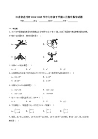 江苏省苏州市2024-2025学年七年级下学期4月期中考试数学试卷(含解析)
