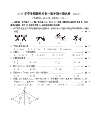 江苏省无锡市锡东片区2024-2025学年七年级下学期期中考试数学试卷(含答案)