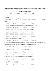 安徽省安庆市岳西县部分片区学校2024-2025学年七年级下学期5月期中数学试卷(含解析)