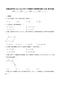 安徽省蚌埠市2024-2025学年八年级下学期期中学情调研监测数学试卷(含解析)