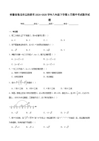 安徽省淮北市“五校联考”2024-2025学年八年级下学期期中考试数学试卷(含解析）