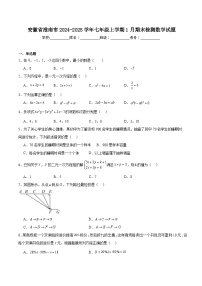 安徽省淮南市2024-2025学年七年级上学期1月期末检测数学试卷(含解析)