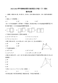 湖南省邵阳市新邵县2023-2024学年七年级下学期7月期末考试数学试卷