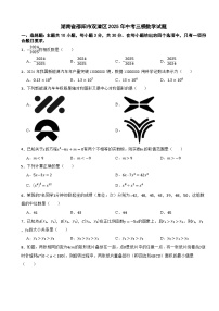 湖南省邵阳市双清区2025年中考三模数学试题（含答案解析）