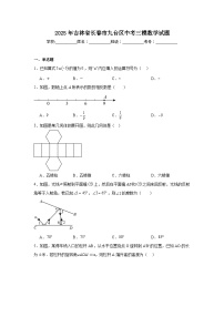 2025年吉林省长春市九台区中考三模数学试题（附答案解析）