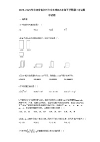 2024–2025学年湖南省永州市冷水滩区九年级下学期期中考试数学试题[附答案]