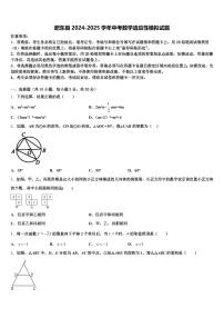 肥东县2024-2025学年中考数学适应性模拟试题含解析