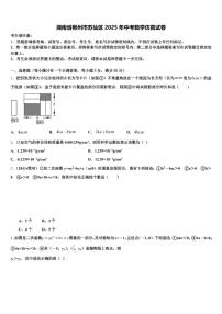 湖南省郴州市苏仙区2025年中考数学仿真试卷含解析
