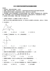 2025年焦作市初中数学毕业考试模拟冲刺卷含解析