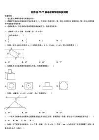 湘潭县2025届中考数学模拟预测题含解析