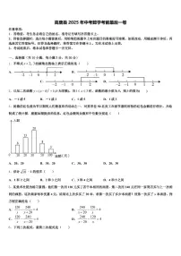 高唐县2025年中考数学考前最后一卷含解析