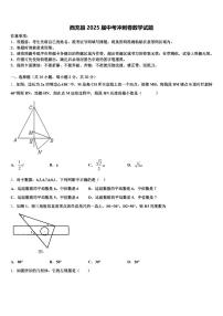 西充县2025届中考冲刺卷数学试题含解析
