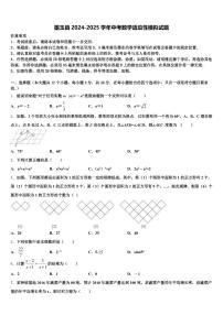 墨玉县2024-2025学年中考数学适应性模拟试题含解析