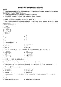 那曲县2025届中考数学模拟预测试卷含解析