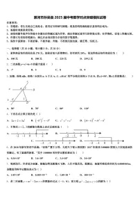 黑河市孙吴县2025届中考数学对点突破模拟试卷含解析