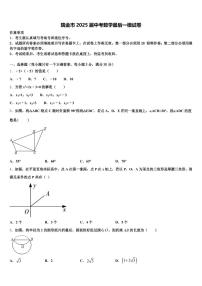 瑞金市2025届中考数学最后一模试卷含解析